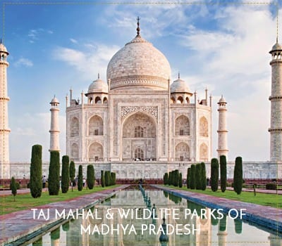 TAJ-MAHAL-&-WILDLIFE-PARKS-OF-MADHYA-PRADESH - Bespoke India Travel